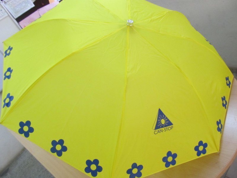 UMBRELLA (Rs.300/-)